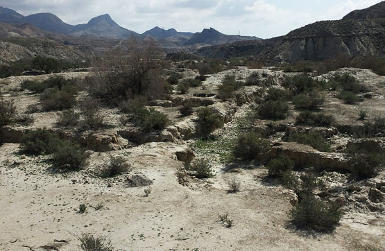 4724m² Others on ind. park 24, Gádor, Almería