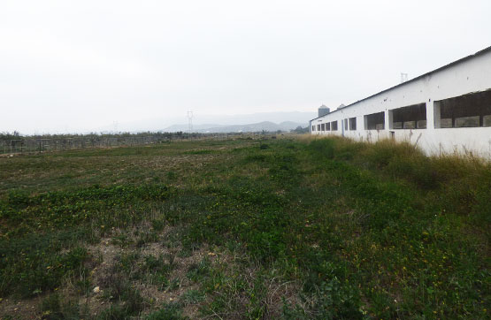 Otros de 26150m² en paraje Cerrillo De Melchora Pol 25 Parc 171, Tabernas, Almería