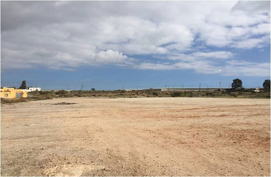 Autres de 4897m² dans route San Agustin, Paraje Loma De Viento, Ejido (El), Almería