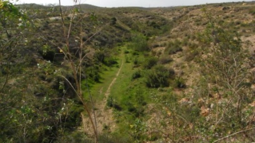 657918m² Developable land on spot Cerro Colorado En Sector Rc-6, Vera, Almería