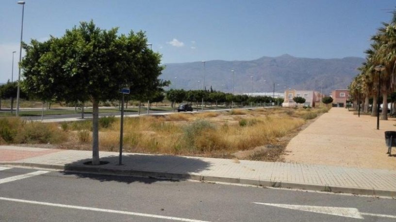 Terrain urbain de 1735m² dans avenue Franncisco Carmona Martinez, Ejido (El), Almería