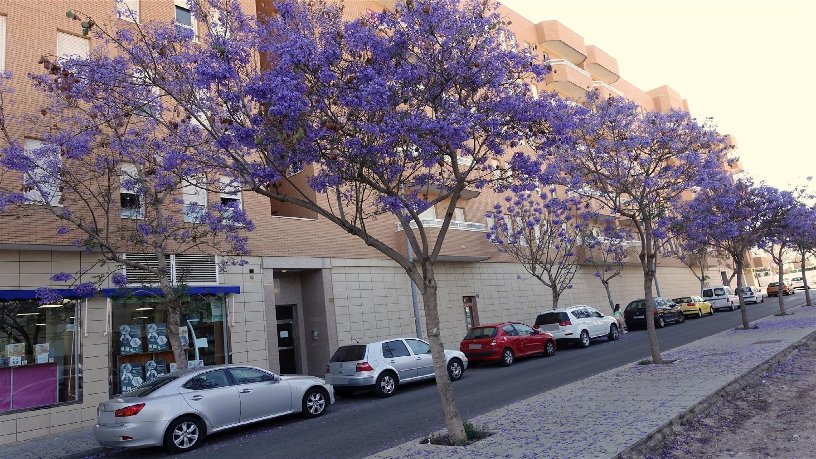 Parking space in avenue Bulevciudad De Vicar, Vícar, Almería