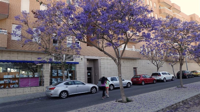 Plaza de garaje de 38m² en calle Ciudad De Vicar, Vícar, Almería