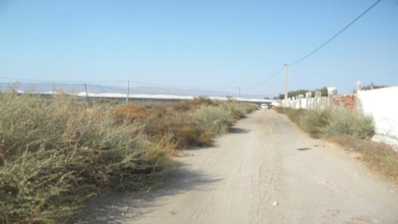 Rustic property in  Paraje Haza Tableada, Poligono 49, Parce, Almería