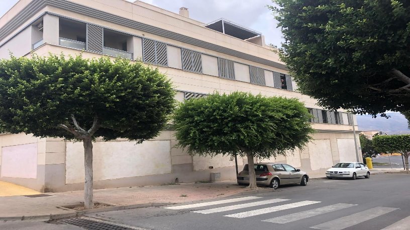 826m² Commercial premises on street Tulipan, Benahadux, Almería