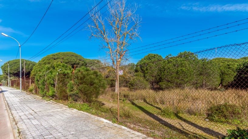 Terrain urbain de 42335m² dans avenue Del Mar Antiguo Camping De Guadalete, Puerto De Santa María (El), Cádiz