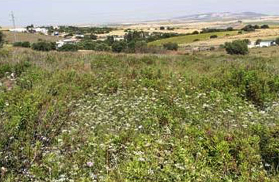 Developable land in sector Ue-1 Del Sup-16 La Zorra ,Polig 100 Parcela 20, Arcos De La Frontera