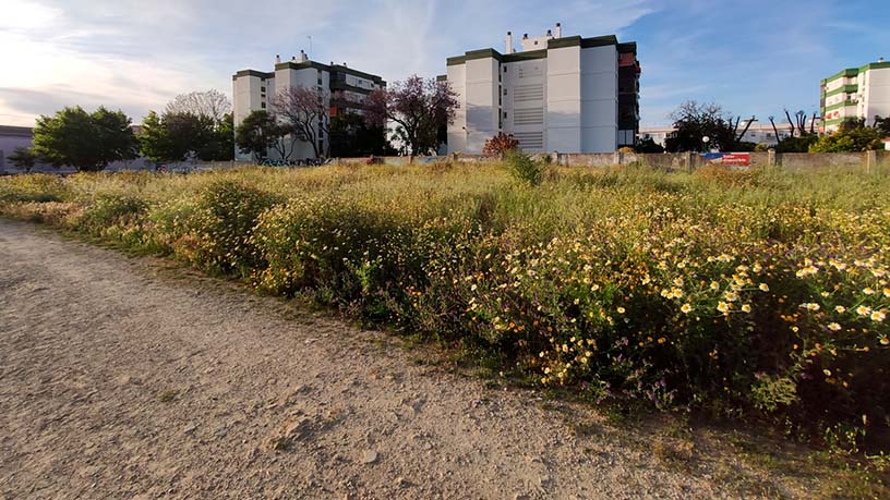 18572m² Developable land on street Clerigo, Jerez De La Frontera, Cádiz