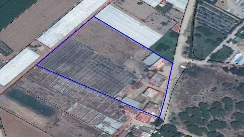 Finca rústica de 9601m² en  Paraje Pago Peritanda. Poligono 18, Parc, Chipiona, Cádiz