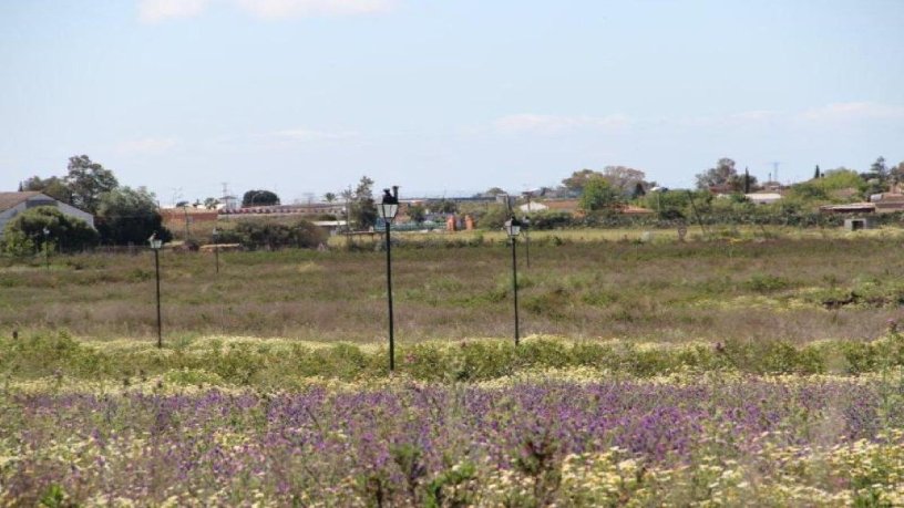 Terrain de golf de 624200m² dans route De Sanlucar - Suo-rt-28 Golf Viña Rango, Puerto De Santa María (El), Cádiz