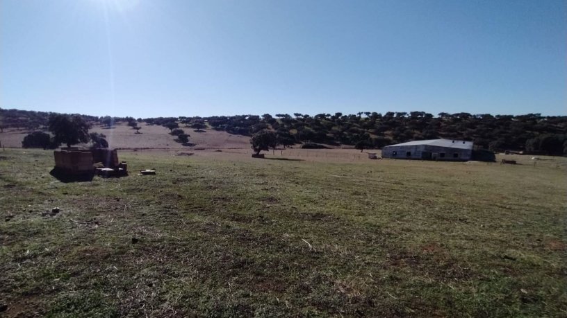 Propriété rustique de 1879m² dans place Los Abadejos, Pol 53 Parc 1,2 Y3, Fuente Obejuna, Córdoba