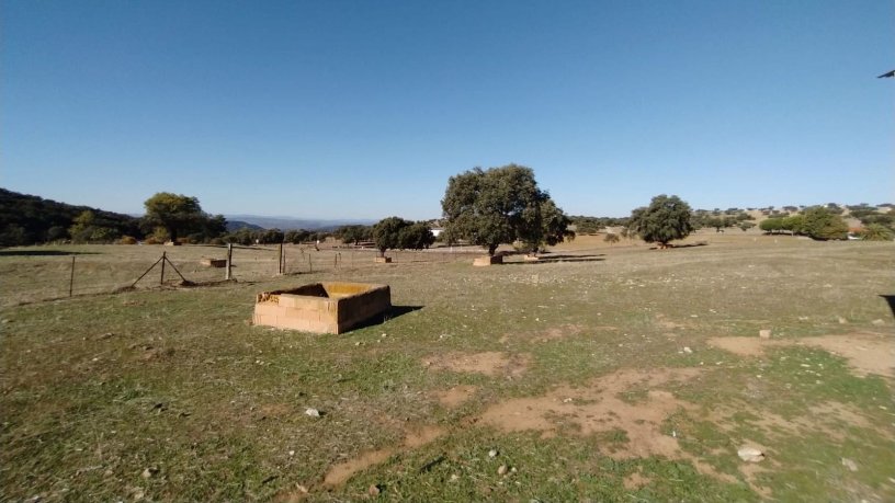 Propriété rustique de 1879m² dans place Los Abadejos, Pol 53 Parc 1,2 Y3, Fuente Obejuna, Córdoba