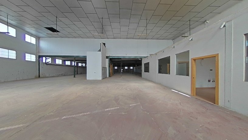 Entrepôt industriel de 2551m² dans rue Vereda De Castro, Lucena, Córdoba