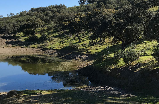 Propriété rustique  dans zone ind. 1 Parc.4 Y Polig.2 Parc2 Los Almendros, Hornachuelos