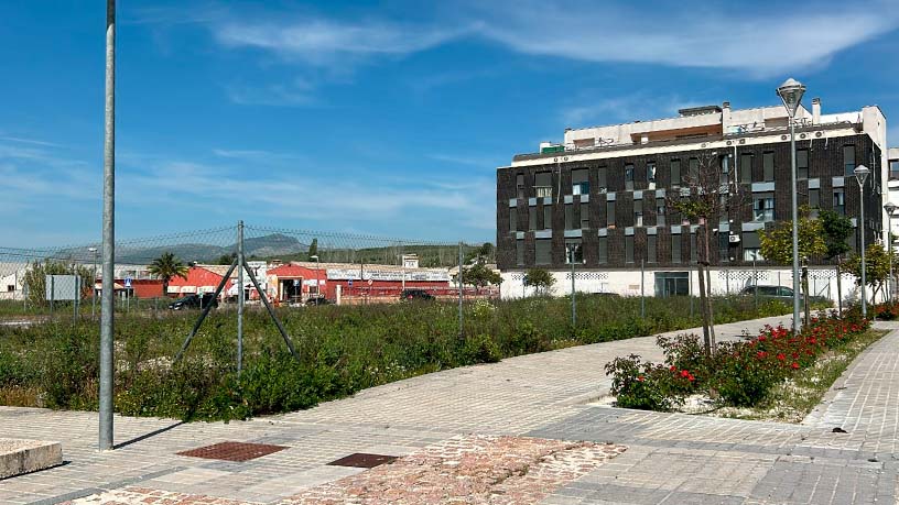 1576m² Urban ground on street Mirlo, Lucena, Córdoba