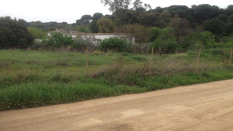 21057m² Developable land on street Pp Tr-2 Poligono 90, Parcela 73, Córdoba