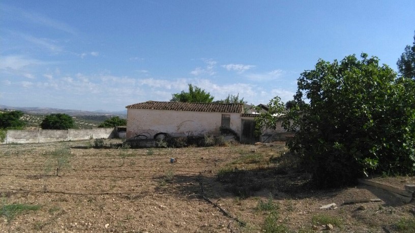 Otros  en calle Flores, Esq C/ Rosal Y C/ Geranios, Íllora