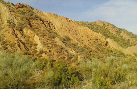 Others  on pago De La Rambla, Unqueria O Rambla De Las Nieves, Nevada