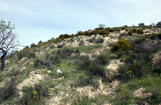 Finca rústica  en calle Barranquillo De Los Majuelos, Albuñuelas