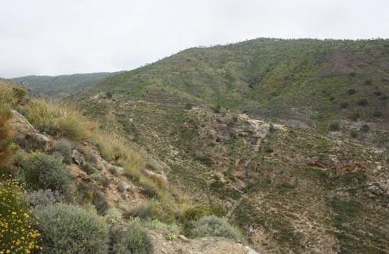 Finca rústica de 28980m² en pago De Gálvez (Sitio La Cenáfrica), Albuñol, Granada