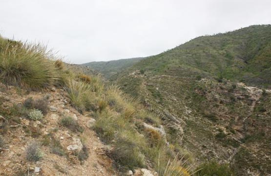 Rustic property  on pago De Gálvez (Sitio La Cenáfrica), Albuñol