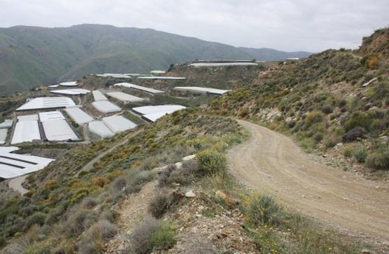 Finca rústica de 28980m² en pago De Gálvez (Sitio La Cenáfrica), Albuñol, Granada