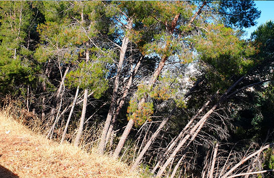 Developable land on street Pino Alto Parcela 4-33, Almuñécar