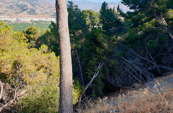 Developable land on street Pino Alto Parcela 4-33, Almuñécar