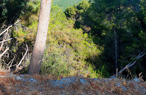 Developable land on street Pino Alto Parcela 4-33, Almuñécar