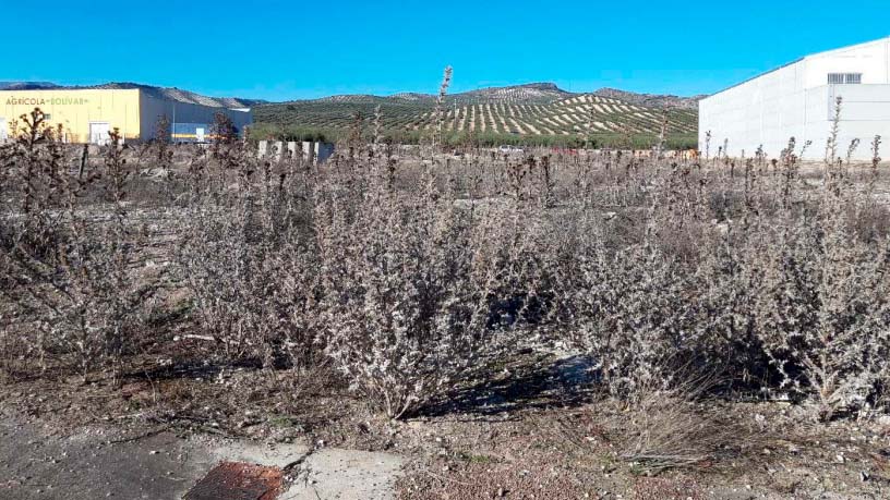 Terrain urbain de 6080m² dans  Los Barrancos, Pinos Puente, Granada