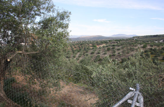 Finca rústica de 9512m² en cuesta De Nivar Poligono 2, Parcela 133, Pulianas, Granada