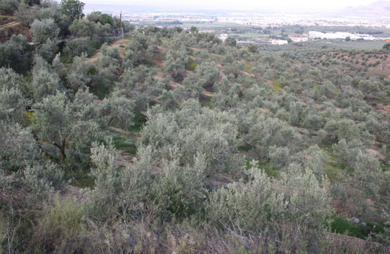 Rustic property  on slope De Nivar Poligono 2, Parcela 133, Pulianas