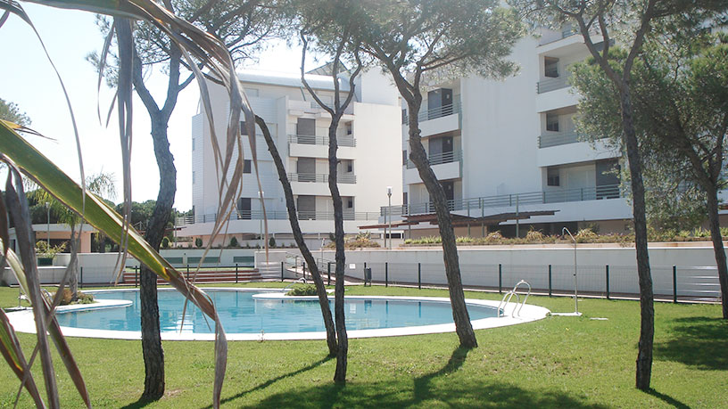 Promoción en calle Diego De Almagro - Urbanización Hoyo 19, Cartaya, Huelva