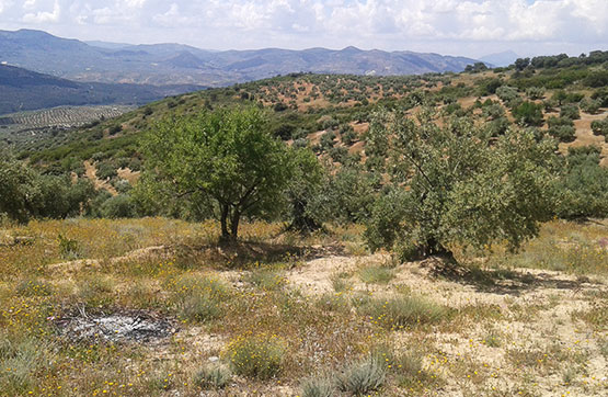 Autres de 5348m² dans rue Portillo Del Estepar-s/nº, Castillo De Locubín, Jaén