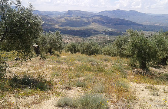 5348m² Others on street Portillo Del Estepar-s/nº, Castillo De Locubín, Jaén