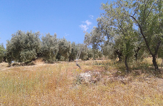 5348m² Others on street Portillo Del Estepar-s/nº, Castillo De Locubín, Jaén