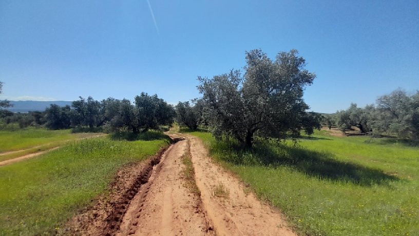 Others  on street Paraje Pilara, Sorihuela Del Guadalimar