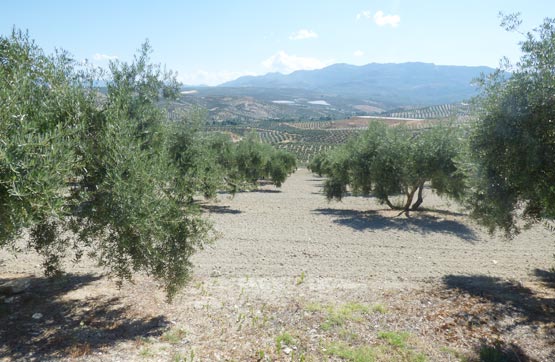 Otros  en calle Paraje Laderas Del Valle, Polig. 36, Parc. 31, Vilches