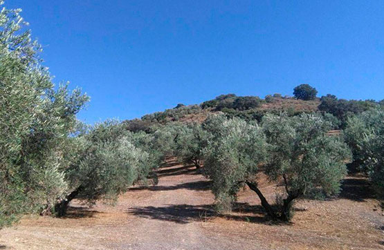 Otros de 5400m² en calle Los Valdios O Calar, Rus, Jaén