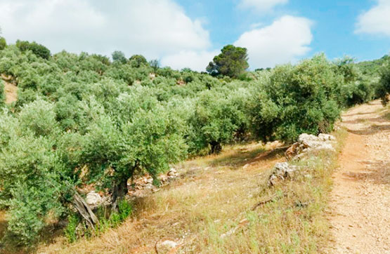 Finca rústica de 12879m² en paraje Cerro Moreno Polg.47 Pc.416, Beas De Segura, Jaén