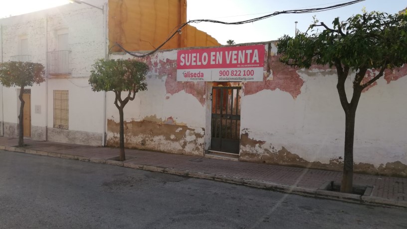 Autres  dans rue Esperanza, Linares