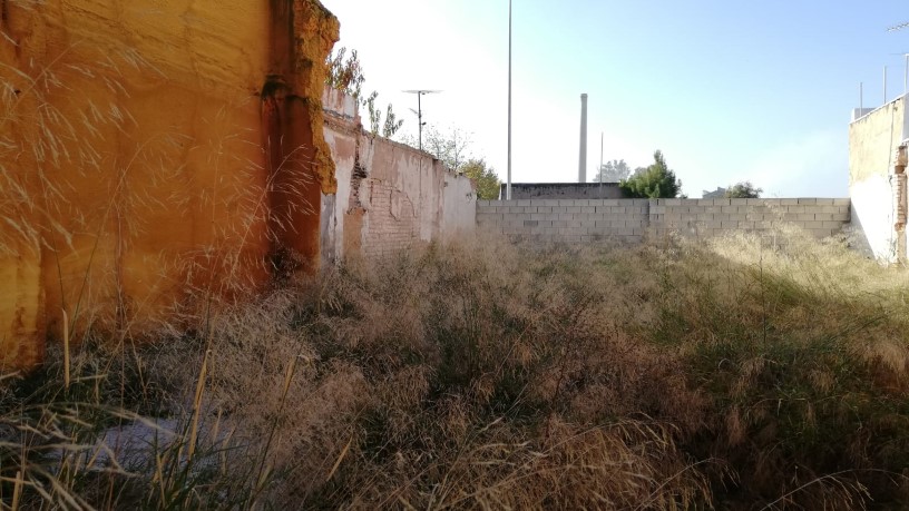 Otros  en calle Esperanza, Linares