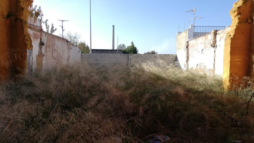 Autres  dans rue Esperanza, Linares