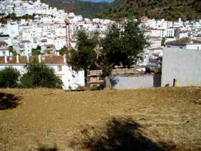 Others on road Puerto Egido, Tolox