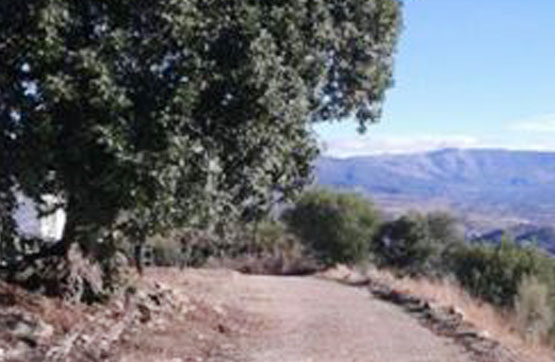 5560m² Rustic property on spot Loma Sierra,axarquia Parc.431 Pol.10 (Parcela 37b), Comares, Málaga