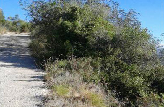 Otros  en paraje Loma Sierra, Axarquia Parc.37 Pol.10 (Parcela 37a), Comares