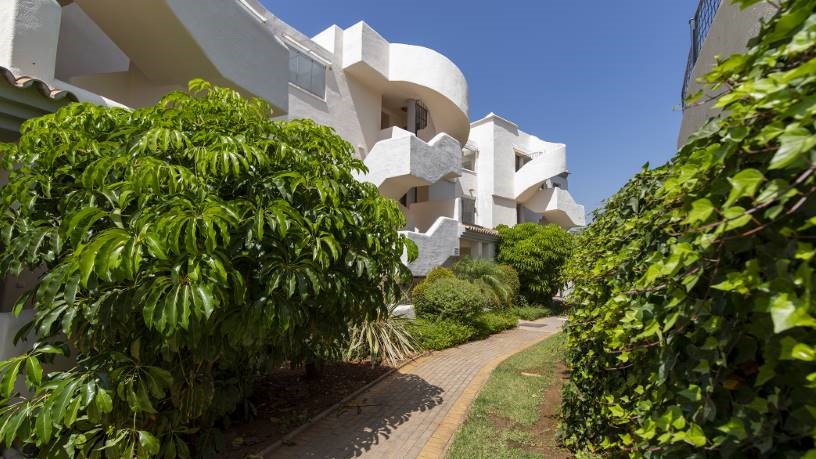 Piso de 175m² en calle Hiedra,s/n. Cjto.santa Maria Green Hills, Marbella, Málaga