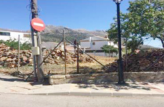 Others in avenue Acacias, Cortes De La Frontera