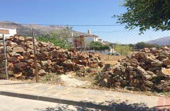 Others in avenue Acacias, Cortes De La Frontera