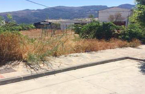 Others in avenue Acacias, Cortes De La Frontera